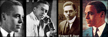 Ernest E. Just
