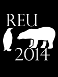REU2014