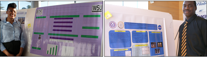 Research Week 2013