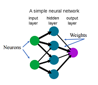 Neural Network Images