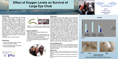 Effects of Oxygen Levels on Survival of Large Eye Chub