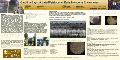 Carolina Bays: A Late-Pleistocene, Early Holocene Environment